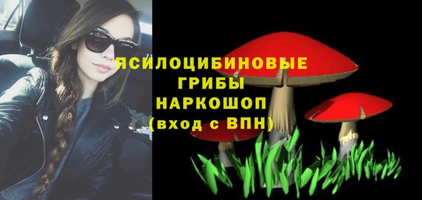 прущий лед Вяземский