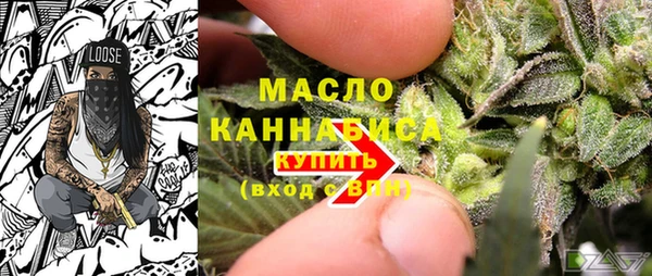 прущий лед Вяземский