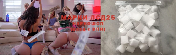 прущий лед Вяземский