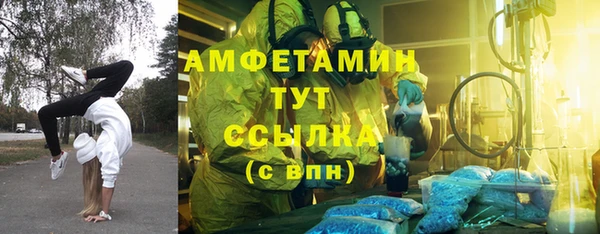 мдпв Вязьма