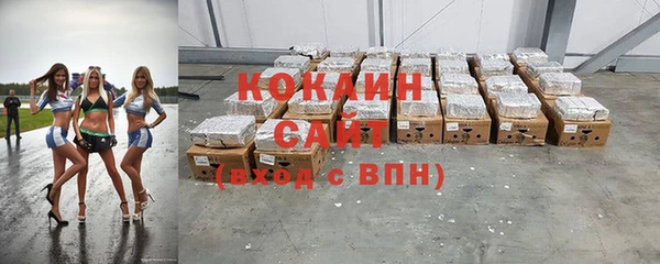 прущий лед Вяземский