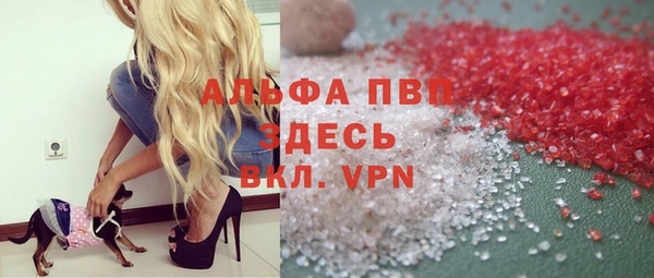 прущий лед Вяземский