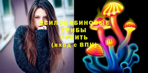 мдпв Вязьма