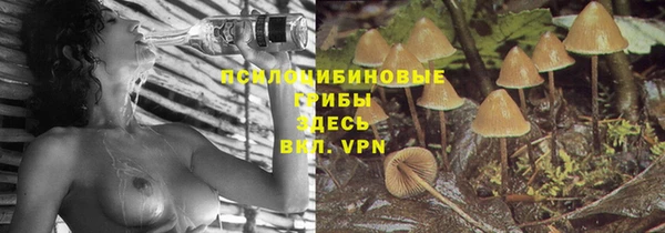прущий лед Вяземский
